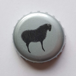 Brasserie de Cornouaille, Brasserie de Cornouaille